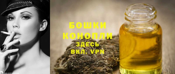 spice Богородск