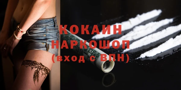 spice Богородск