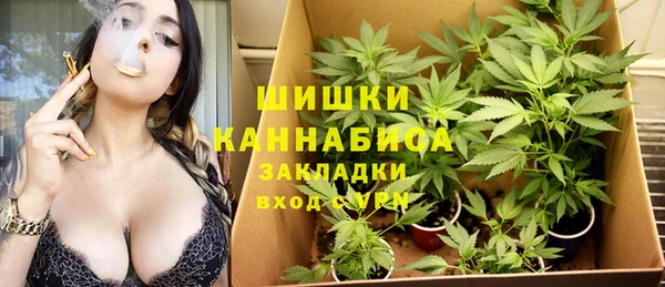 мяу мяу мука Богданович