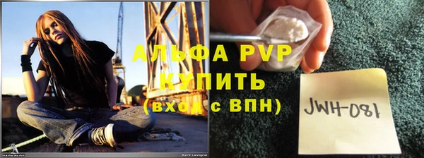 сатива Богородицк