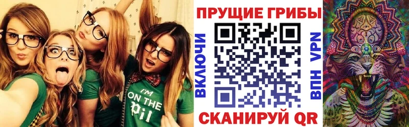 кракен онион Онега Галлюциногенные грибы мухоморы