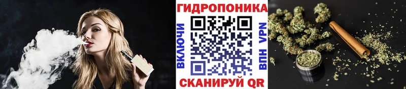 Бошки Шишки VHQ  Онега 
